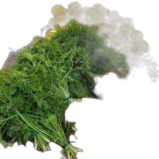 food, hair, dragon, fog transparent PNG cut-out
