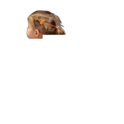 hair, face, mask, animal transparent PNG cut-out