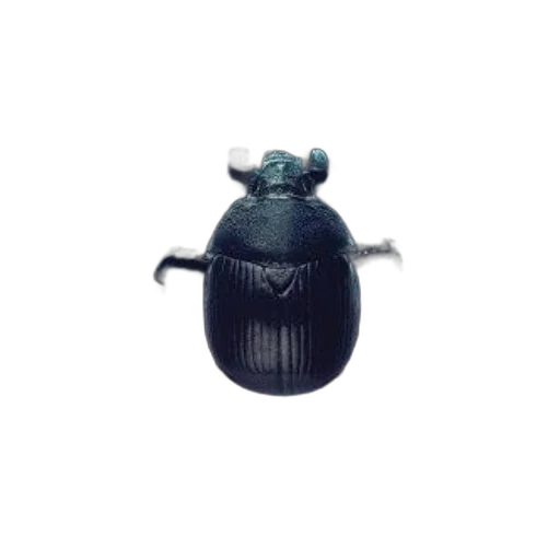 jewelry, animal, crown, robot transparent PNG cut-out