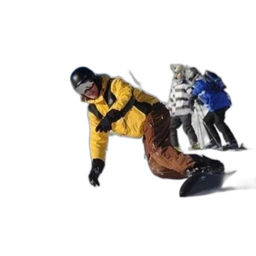 jacket, animal, creature, robot transparent PNG cut-out