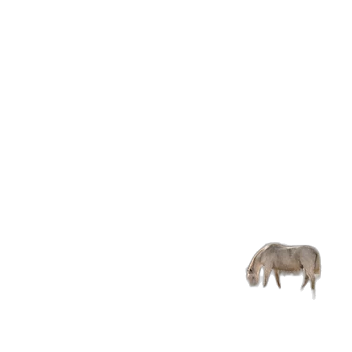 animal, creature, hair, furniture transparent PNG cut-out