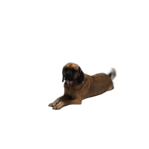 animal, creature, staff, shoes transparent PNG cut-out