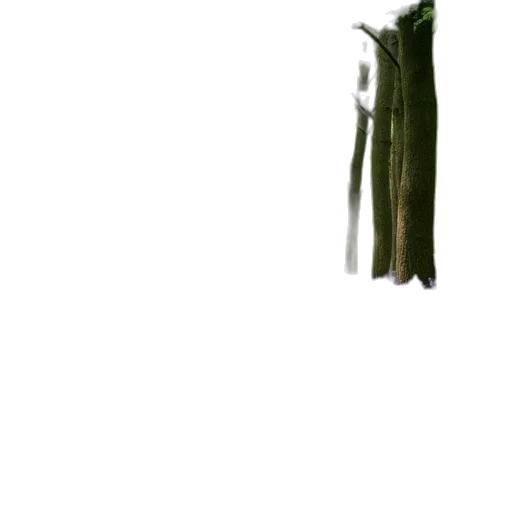weapon, creature, staff, tree transparent PNG cut-out