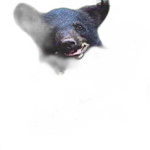 animal, creature, mask, face transparent PNG cut-out