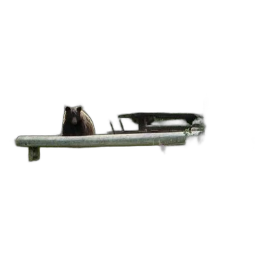 weapon, staff, furniture, sword transparent PNG cut-out