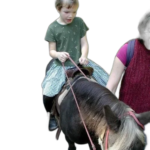 animal, creature, photorealistic, young transparent PNG cut-out