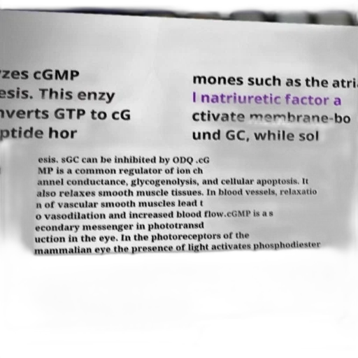 diagram, explaining, conversion, gtp transparent PNG cut-out
