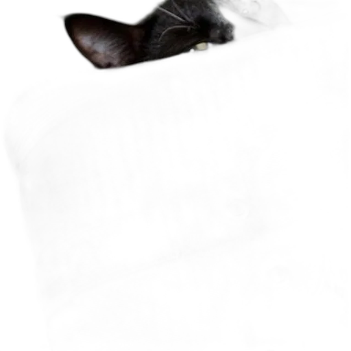 hat, mask, animal, face transparent PNG cut-out