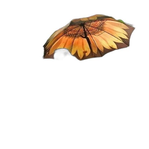 umbrella, flower, hat, crown transparent PNG cut-out