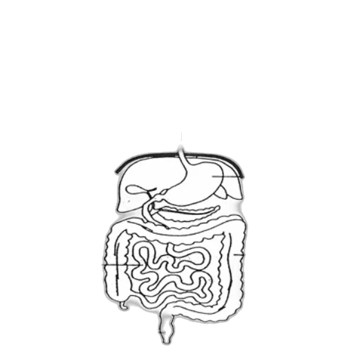 crown, hair, jewelry, mask transparent PNG cut-out