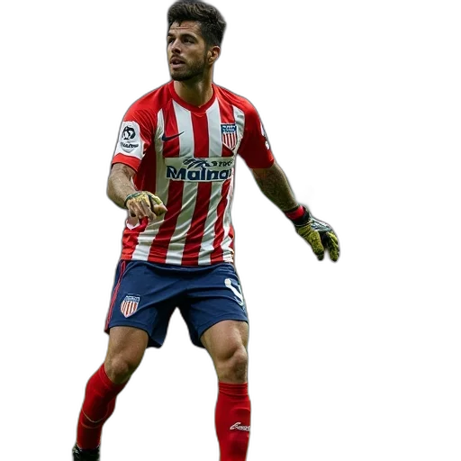 animal, atletico, goalkeeper, one transparent PNG cut-out