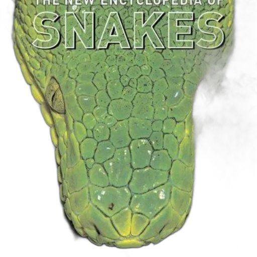 shoes, bottle, animal, weapon transparent PNG cut-out