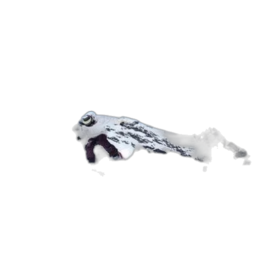 weapon, robot, shoes, dragon transparent PNG cut-out