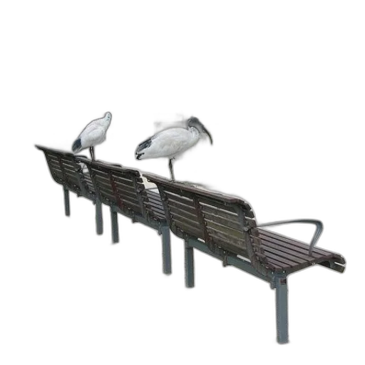 furniture, staff, shoes, animal transparent PNG cut-out