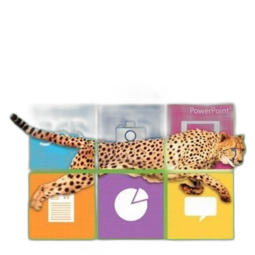 animal, colorful, book, cover transparent PNG cut-out
