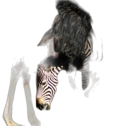 creature, animal, hair, mask transparent PNG cut-out