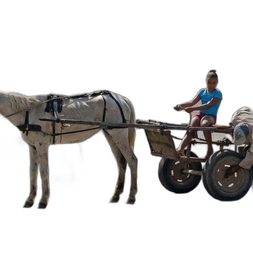 animal, car, robot, weapon transparent PNG cut-out