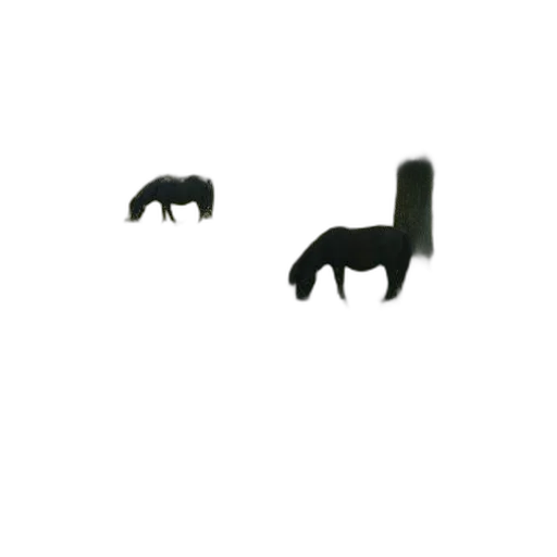 animal, hair, furniture, jewelry transparent PNG cut-out