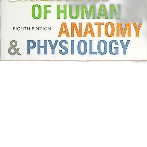 cover, essentials, human, anatomy transparent PNG cut-out