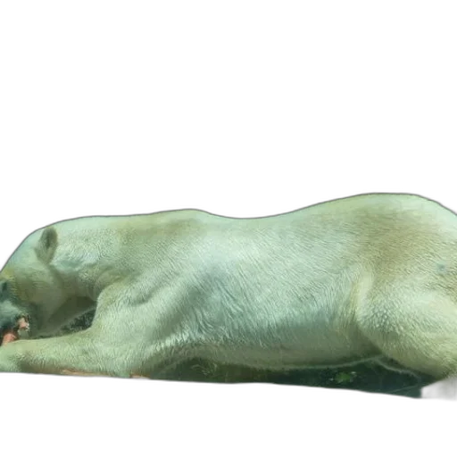 animal, creature, staff, bottle transparent PNG cut-out