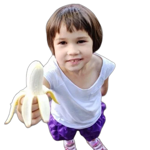 animal, creature, weapon, food transparent PNG cut-out