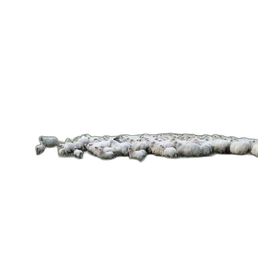sword, staff, jewelry, weapon transparent PNG cut-out