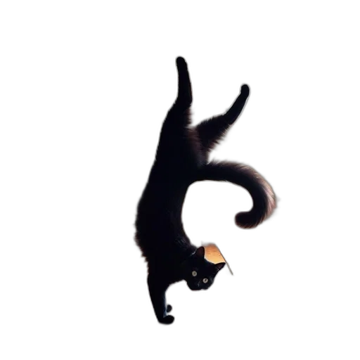 staff, animal, dragon, creature transparent PNG cut-out