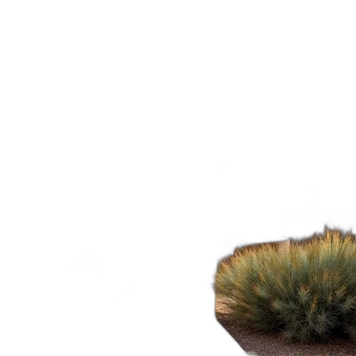 hair, hat, creature, tree transparent PNG cut-out