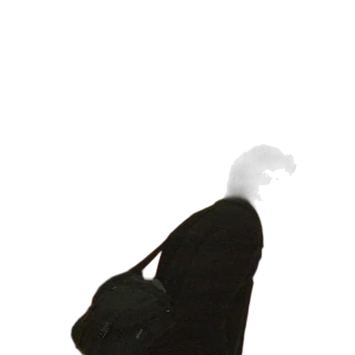 jacket, staff, creature, dress transparent PNG cut-out