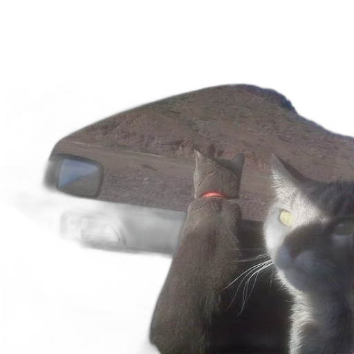 car, robot, animal, hat transparent PNG cut-out