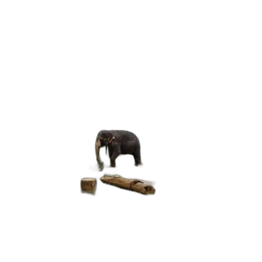 animal, furniture, weapon, food transparent PNG cut-out