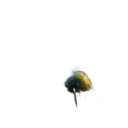 animal, creature, hat, hair transparent PNG cut-out