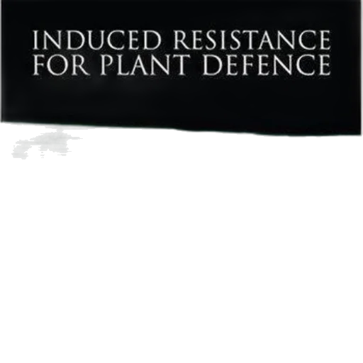 weapon, staff, cover, induced transparent PNG cut-out