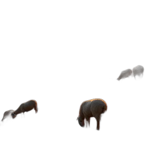 animal, hair, creature, furniture transparent PNG cut-out