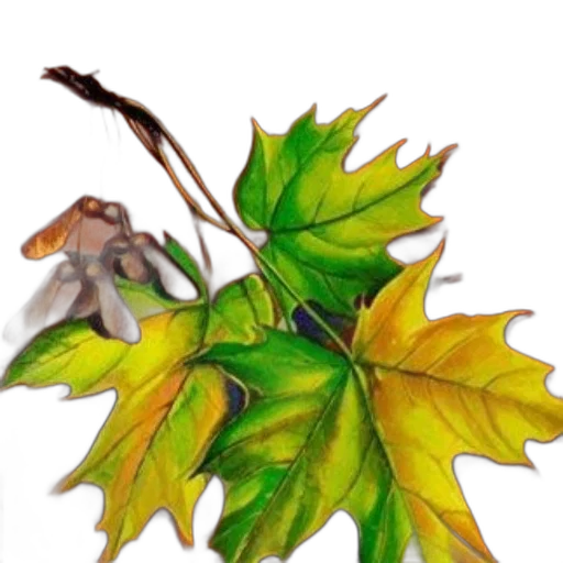 dragon, staff, animal, creature transparent PNG cut-out