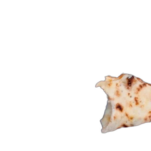 food, animal, dragon, umbrella transparent PNG cut-out