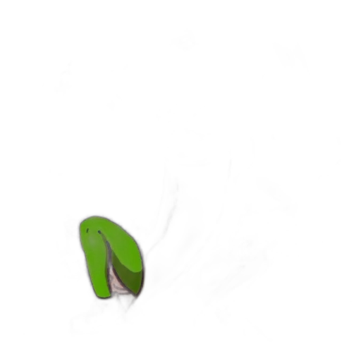 food, flower, weapon, hair transparent PNG cut-out