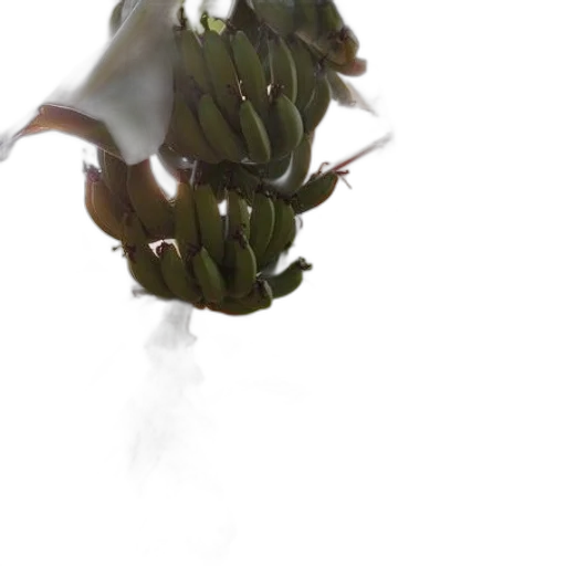 flower, crown, food, staff transparent PNG cut-out