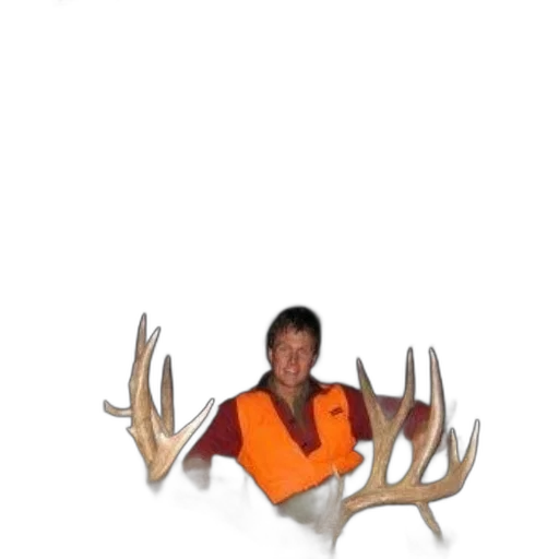 animal, creature, crown, furniture transparent PNG cut-out