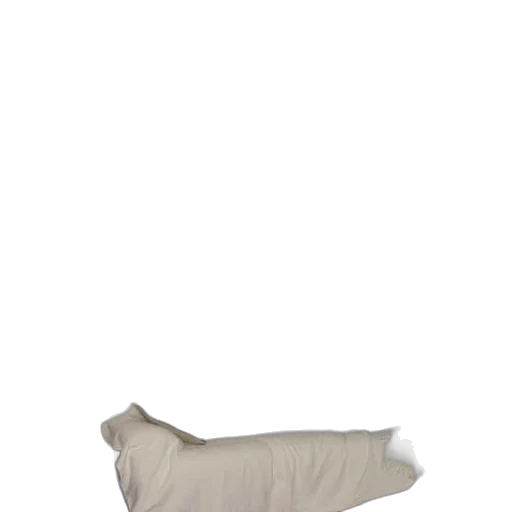 furniture, staff, shoes, animal transparent PNG cut-out