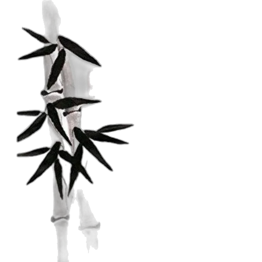 tree, staff, flower, umbrella transparent PNG cut-out