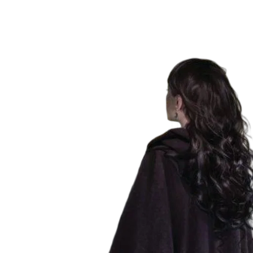 hair, crown, jacket, dress transparent PNG cut-out