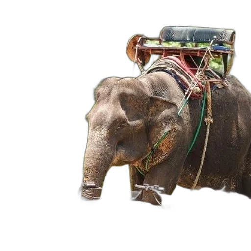 animal, robot, car, weapon transparent PNG cut-out