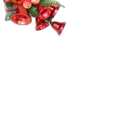 food, jewelry, flower, crown transparent PNG cut-out