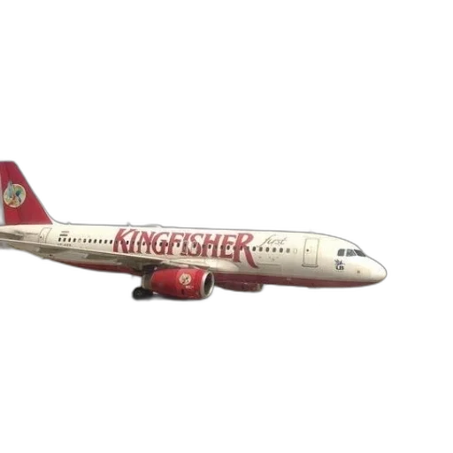 3d render, photorealistic, kingfisher, airlines transparent PNG cut-out