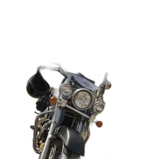weapon, jewelry, jacket, animal transparent PNG cut-out