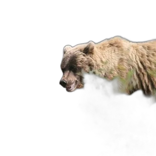 animal, creature, hair, photorealistic transparent PNG cut-out