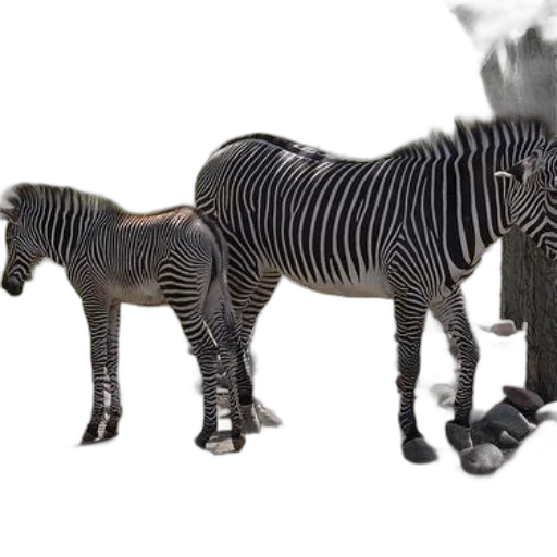 animal, creature, jewelry, furniture transparent PNG cut-out