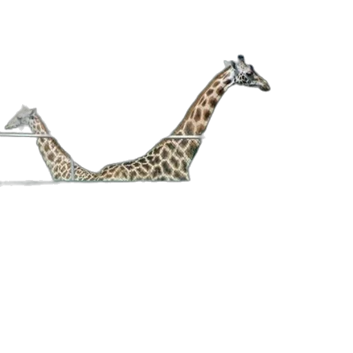 jewelry, animal, staff, furniture transparent PNG cut-out