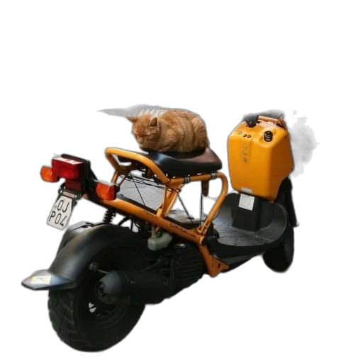 car, animal, robot, weapon transparent PNG cut-out